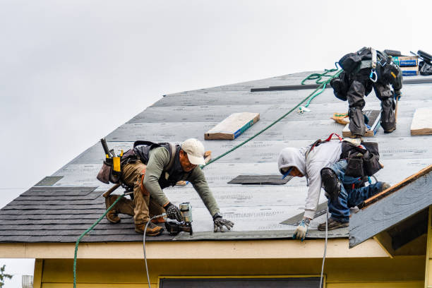 Professional Gutter Installation technician working in Alton, TX